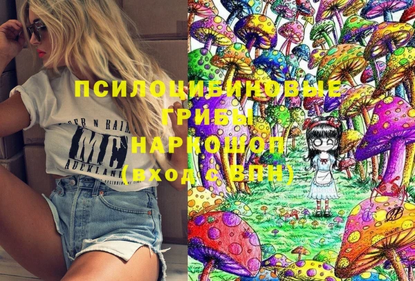 МДПВ Алексин