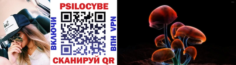 мега онион  Минусинск  Галлюциногенные грибы GOLDEN TEACHER 